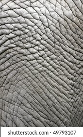 Elephant Skin Texture