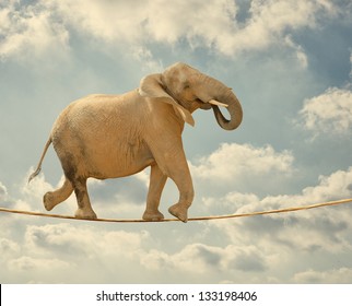 Elephant In Sky Walking On Rope - Shutterstock ID 133198406