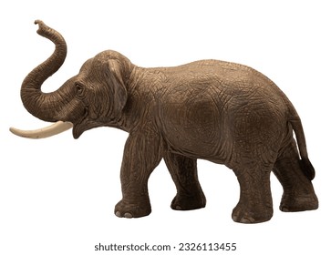 elephant stand on white background png