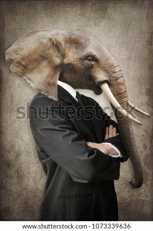 Elephant in a suit. Man with the head of an elephant. Concept graphic in vintage style