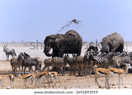 The Elephant that trows mud