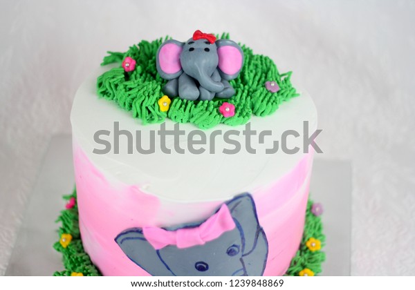 Elephant Theme Cake Kids Birthday Party Stock Photo Edit Now 1239848869