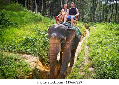 Elephant trekking in Khao Sok National Park, Thailand