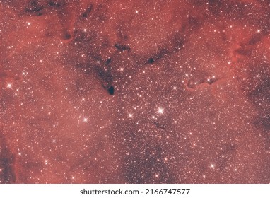 Elephant Trunk Nebula With Newton Telescope