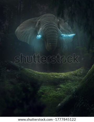 Elephant with tusk walking in the jungle
