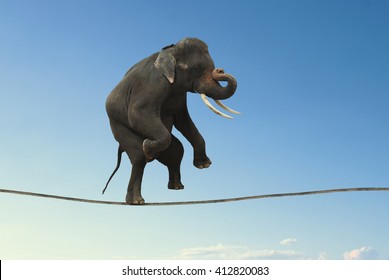 3,302 Balancing elephant Images, Stock Photos & Vectors | Shutterstock