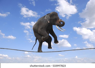 3,271 Elephant balance Images, Stock Photos & Vectors | Shutterstock