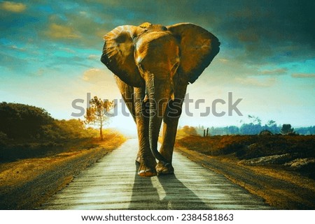 Elephants are considered a symbol of wisdom, ingenuity and good fortune, increasing abundance and success.                              