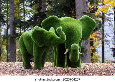 Elephants Created From Bushes At Green Animals. Topiary Gardens.