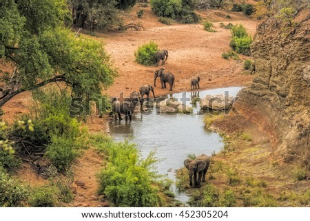 Elephants drinking water at the viewpoint Red Rock in the Kruger national park