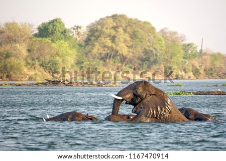 Commit error. Indian having sex in the river something Thanks for Indian having sex in the river opinion you