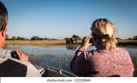 Elephants, Okavango Delta, Botswana