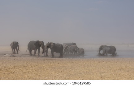 Elephants at a watering hole during a dust storm in the Namibian savanna - Shutterstock ID 1045129585