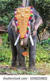 169 Decorated elephants for onam Images, Stock Photos & Vectors ...