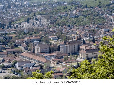 Elevated aerial view of Deva city, Romania, showing a mix of communist-era apartment blocks and traditional houses nestled among green trees, with the Carpathian mountains in the distant horizon.