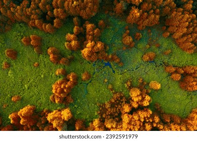 Elevated Elegance: A Drone's Glimpse of Autumn