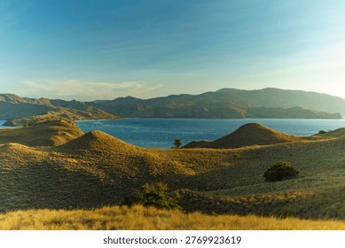 An elevated panoramic view looking across the unique topography of Gili Lawa, Komodo National Park, Flores, Indonesia, captured on August 3, 2021. The rolling, golden-brown savannah hills in the foreground and mid-ground create a textural pattern leading down to a calm, deep blue bay. Distant, rugged mountains under a clear blue-to-yellow gradient sky line the horizon. The arid landscape and vast views are iconic of the region's trekking destinations, showcasing the dramatic contrast between the dry land and the deep sea.