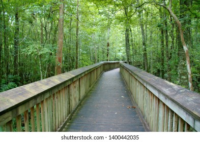 An Elevated Path Over A Swamp At Tickfaw State Park, Located 7 Mi (11 Km) West Of Springfield, In Livingston Parish, Louisiana, USA.