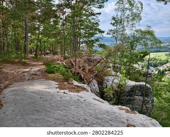 Elevated rocky forest path winds along cliff edge beside pine and birch trunks, scattered boulders, and exposed bedrock, opening to green valley, patchwork fields, distant village, and dramatic