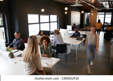 Elevated view of creative business colleagues working at desks and walking through a busy office