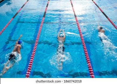 Elevated view of professional swimmers training in the swimming pool. - Powered by Shutterstock