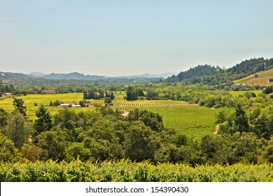 Elevated View Of Sonoma Valley Ca