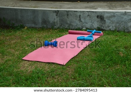 An elevated viewpoint from the front-right captures a pink exercise mat spread over grass near a stone path border, with a blue resistance tube puller and a blue dumbbell on top.