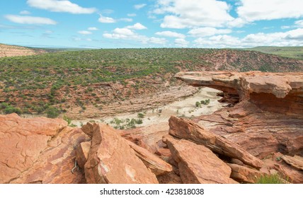 Elevated Views From Sandstone Cliffs Over The Murchison River Gorge With Native Plants In Kalbarri, Western Australia/Sandstone And Scenery/Kalbarri National Park, Western Australia.