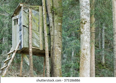 An Elevated Wooden Platform Known As Tree Stand Or Deer Stand On Mountain For Hunters To Have A Better Sight
