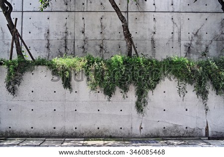 Similar – Foto Bild Nature finds a way