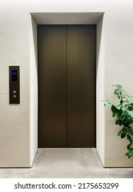 Elevator In The Building Lobby