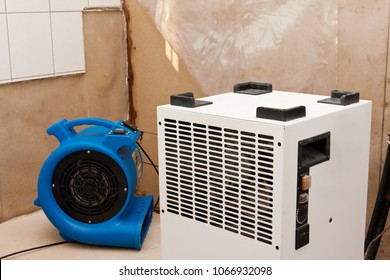 Elimination of water damage with dryer and fan