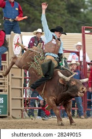 Elizabeth, CO - June 08:  Talented young PRCA cowboy Seth Glause rides a tough bull during the Elizabeth Stampede Rodeo on June 08, 2008.  It is considered one of the best small rodeos in the country.