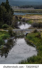 Elizabeth Lake And Creek, Cranbrook, BC