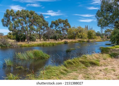 Elizabeth River Passing Through Tasmania, Australia