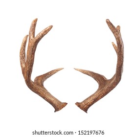 Elk Antlers. Isolated On White