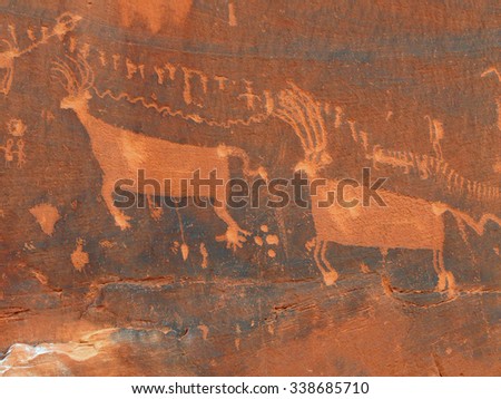  elk in the processional panel of  ancient native american petroglyphs in comb ridge, near bluff,   utah
