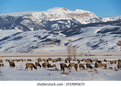 Elk Refuge and Sleeping Indian in Jackson Hole Wyoming - Shutterstock ID 1919890673