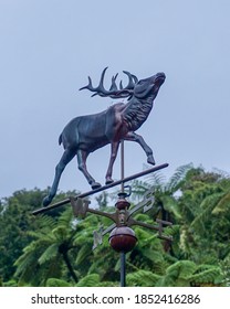 Elk statue weathervane with nature background