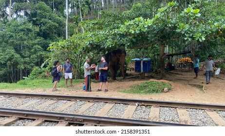 Ella, Sri Lanka – April 15, 2022: Train tracks on the Nine Arches Bridge, a famous tourist spot in Sri Lanka. 