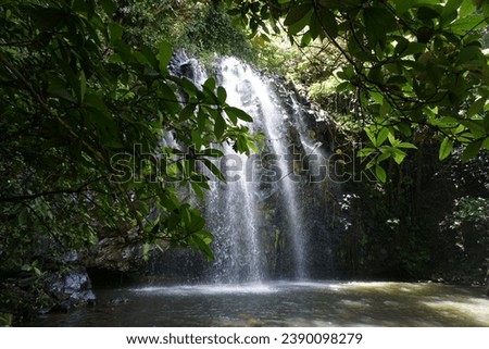 Ellinjaa waterfall framed by tree leaves on the waterfall circuit in Atherton Tablelands, Millaa Millaa, Queensland, Australia