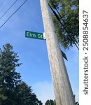 Elm Street Street Sign on Pole