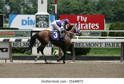 ELMONT - JUNE 6: Grandandacceptable With Michael Luzzi Aboard Finishes The Third Race At Belmont Park On Belmont Stakes Day - June 6, 2009 In Elmont, NY.