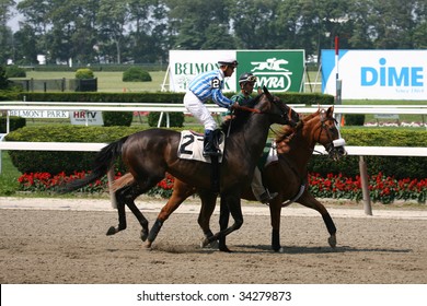 ELMONT, NY- JULY 25: Javier Castellano Aboard Mr. Sandman In The Post Parade For The Fifth Race At Belmont Park- July 25, 2009 In Elmont, NY.