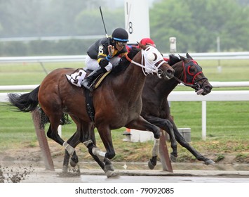 ELMONT, NY - JUN 11: Jockey Alan Garcia (black Cap) Guides 