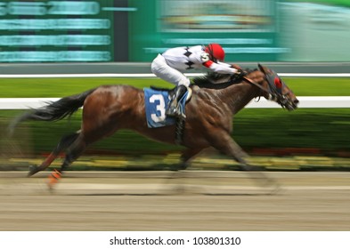 ELMONT, NY - MAY 28: Jockey David Cohen And 