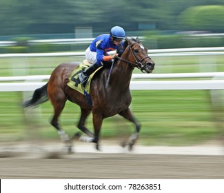 ELMONT, NY - MAY 29: Jockey David Cohen Pilots Filly Jacky Juice To Victory In A Claiming Race At Belmont Park On May 29, 2011 In Elmont, NY.