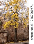 The elongated Jungfernturm at Munich, Germany was built in 1493 as a defensive tower in the Kreuzviertel between the second city wall and the Zwinger wall in front of it.