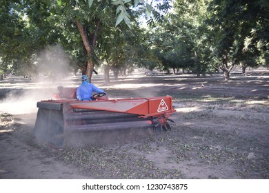 Eloy, AZ., U.S.A. Oct. 26, 2018. Daybreak Pecan Co. Floy F1 Sweeper For Pecan Harvest.
