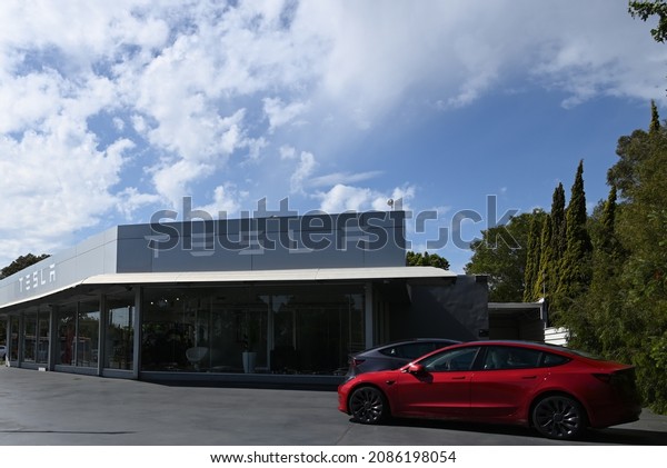 Elsternwick, Victoria, Australia -\
December 5 2021: Tesla Brighton car dealership, on Brighton Rd,\
with two Tesla electric vehicle models parked out\
font